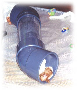 Sela's daughter Tori in a tube