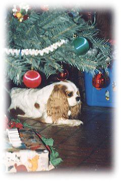 Julie under the Christmas tree